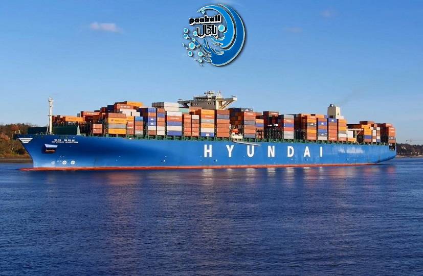 بازار مواد شوینده ایران